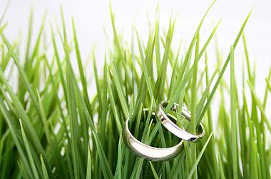 matrimonio eco friendly